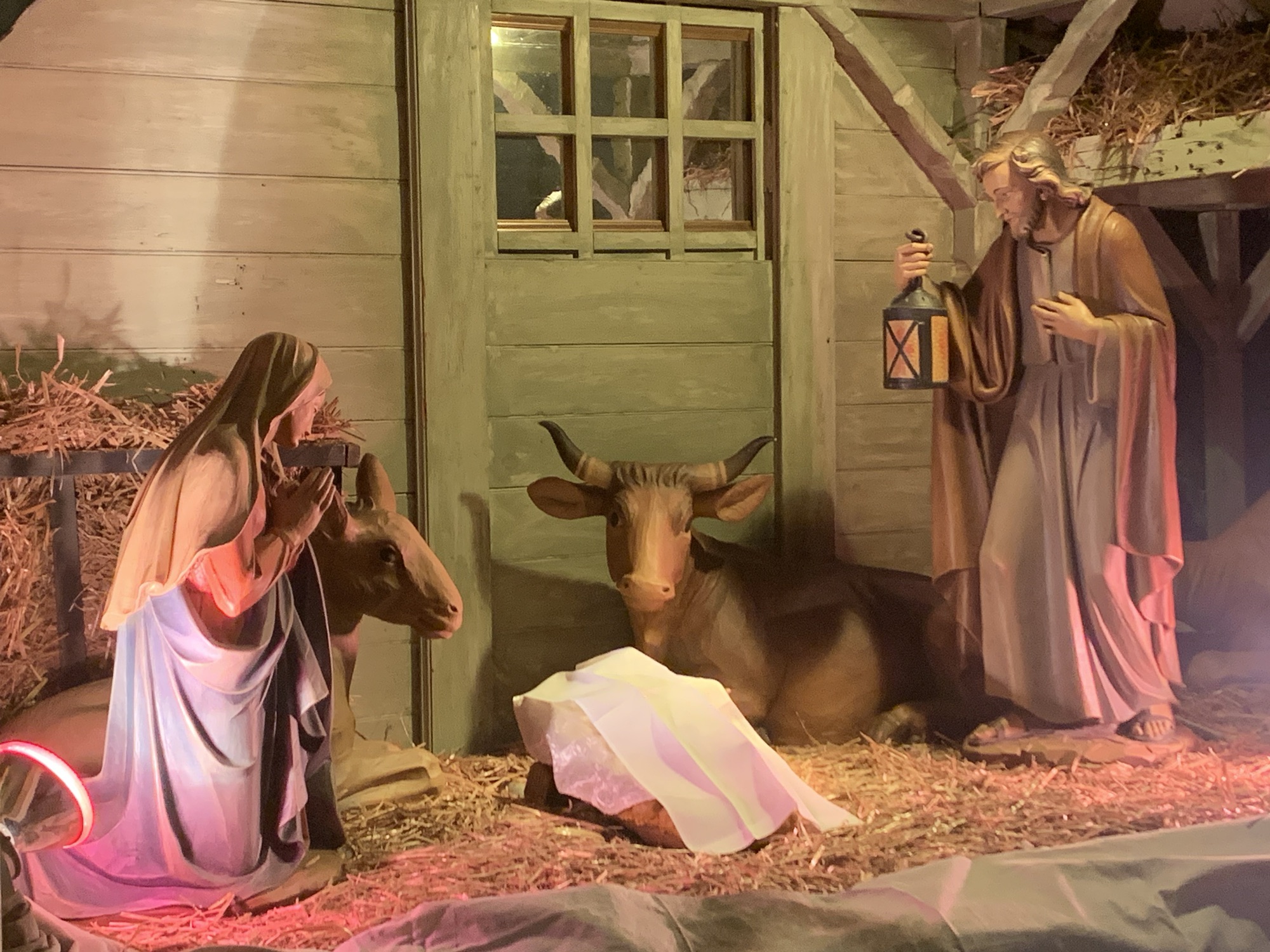 Mary Did You Know?