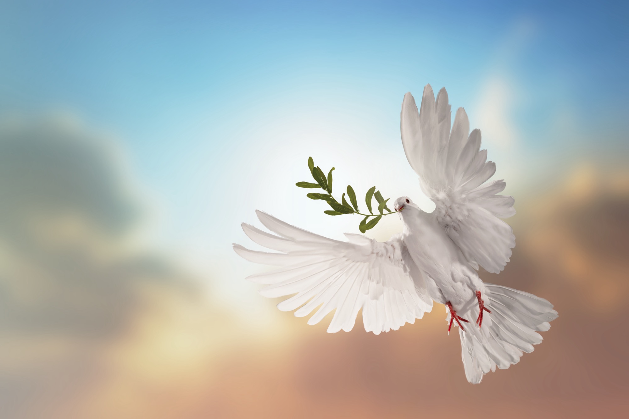 In Remembrance