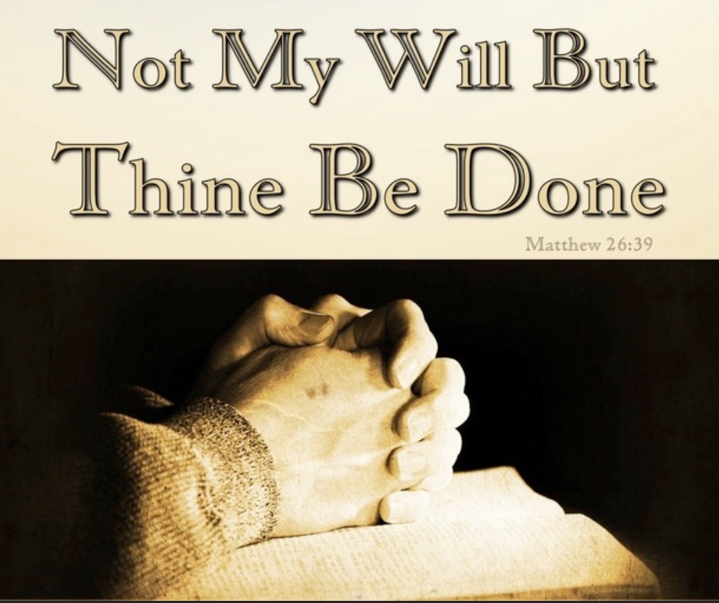 No Action is Virtuous Unless It Is Oriented Towards Jesus&nbsp;Christ