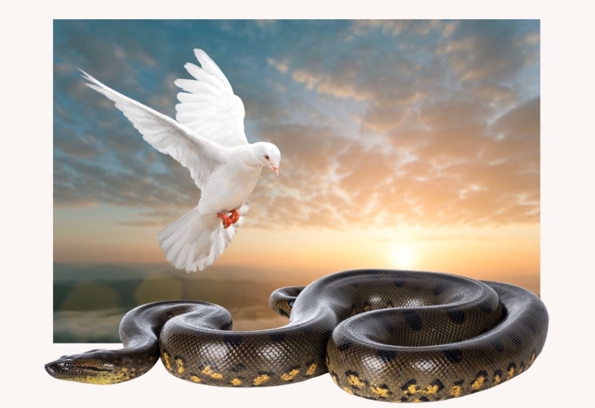Be wise as a serpent and harmless as a dove